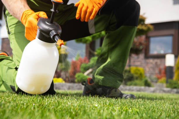 Best Affordable Pest Control Services  in USA